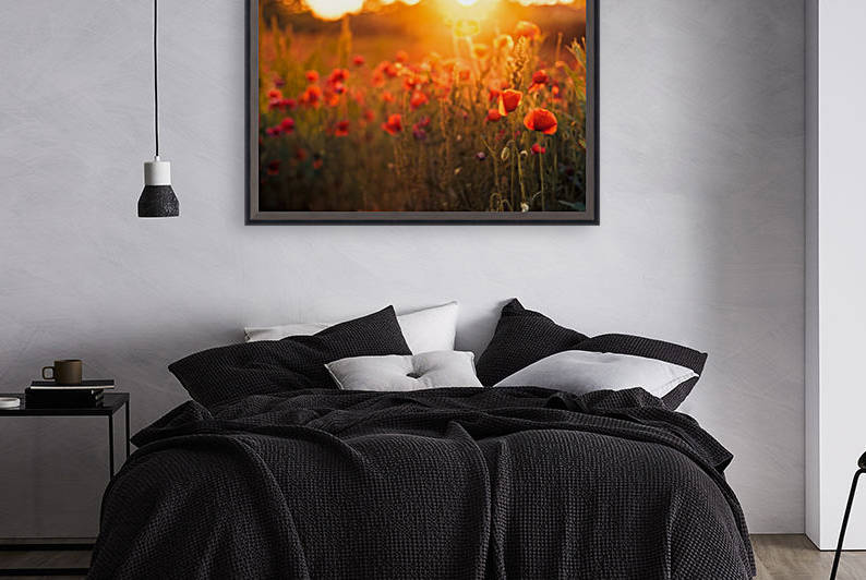 Beautiful Sunset poppy flowers by icemanphotos