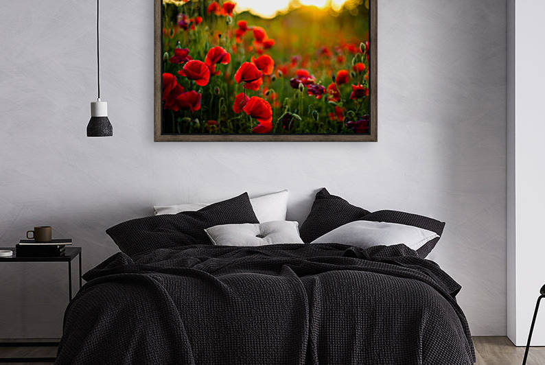 Beautiful Sunset poppy flowers by icemanphotos