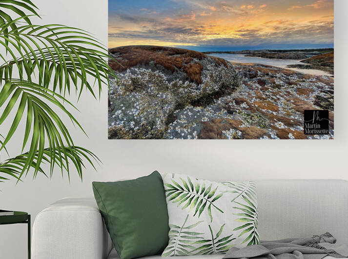 Collection Cote-Nord by Martin Morissette