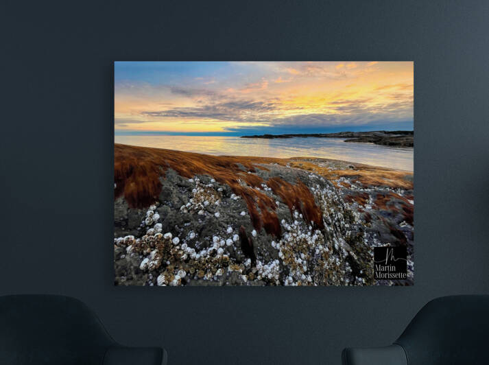 Collection Cote-Nord by Martin Morissette