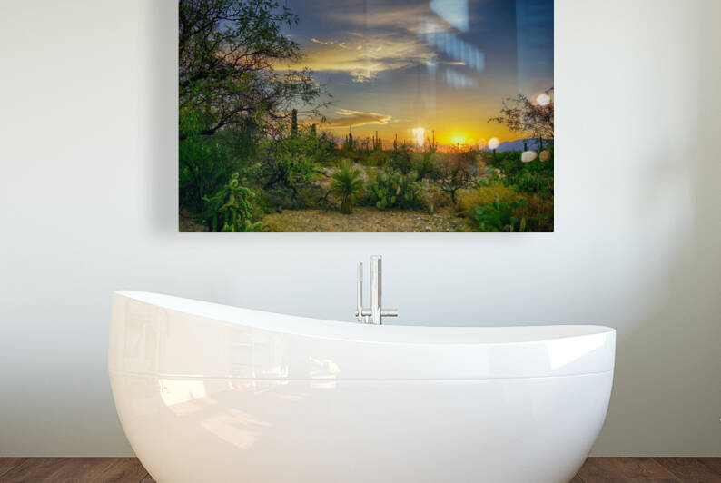 The Sonoran Desert by Eduardo Palazuelos