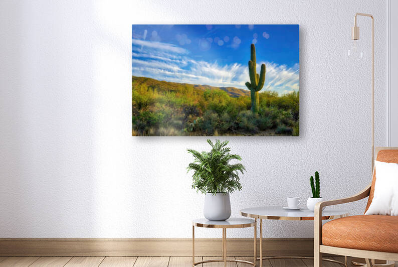 Saguaro Cactus Sonoran Desert near Tucson Arizona by Eduardo Palazuelos