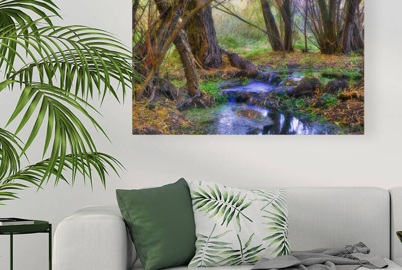 Oak Tree Canyon by Eduardo Palazuelos