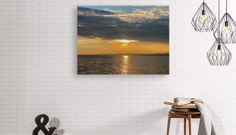 Collection Cote-Nord by Martin Morissette