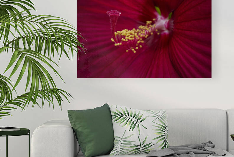 Deep Red Hibiscus Flower by Iris H Richardson