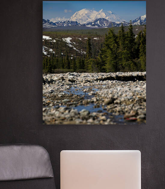 Denali from the North by Bruce Brown