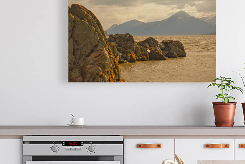 Turnagin Arm by Bruce Brown