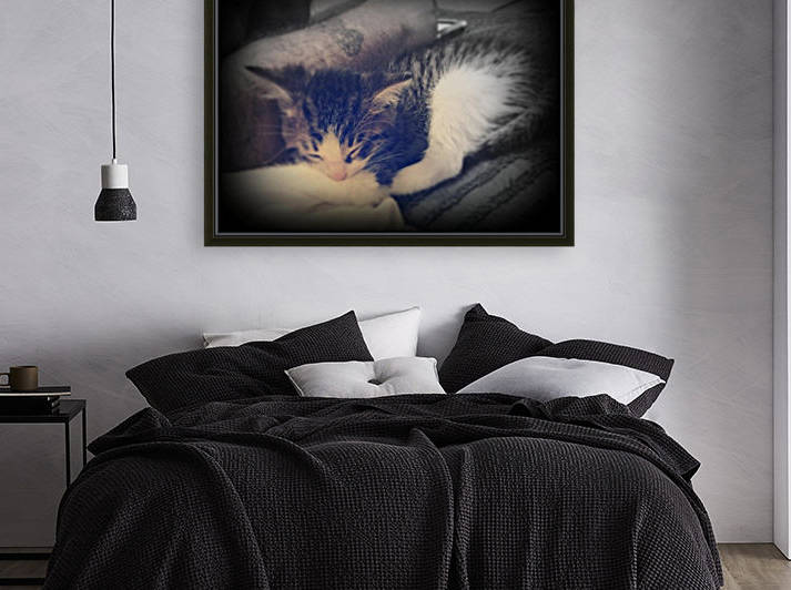 sleepy cortez by Shutterbug