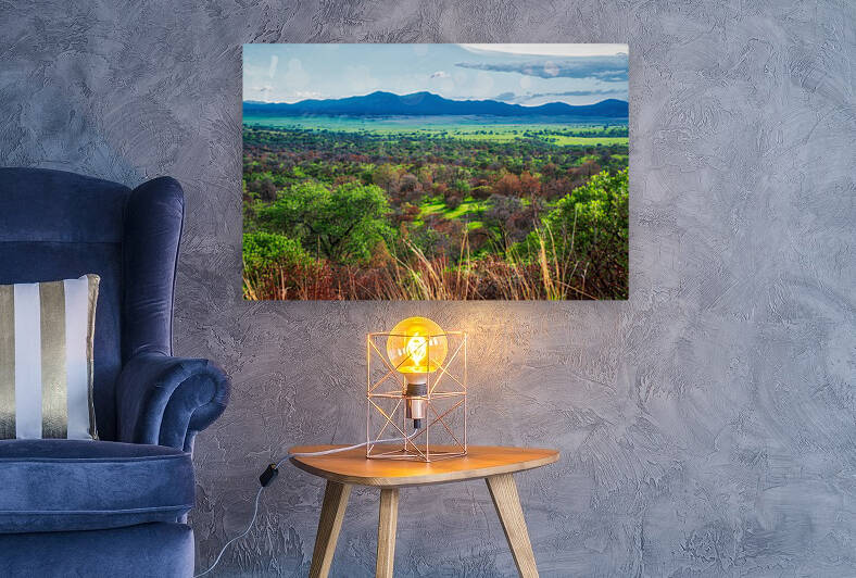 San Rafael Valley Early August by Eduardo Palazuelos