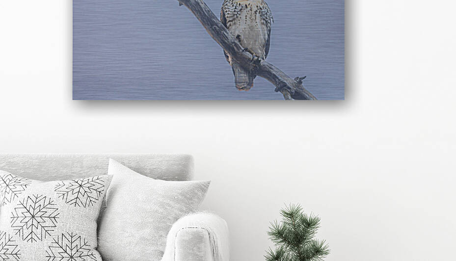 Immature red-tailed hawk in the fog  by Joe Riederer