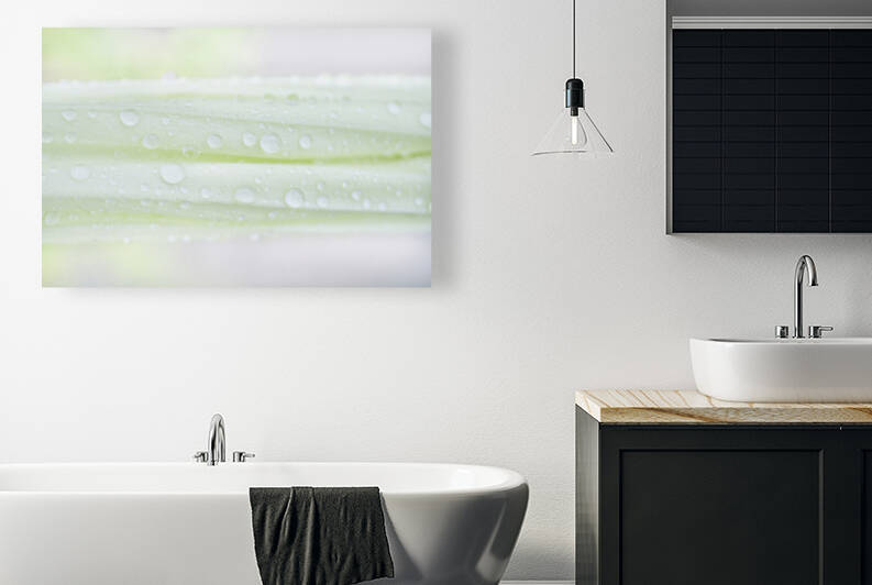 Soft Green Moonflower Bud Landscape 1 by Iris H Richardson