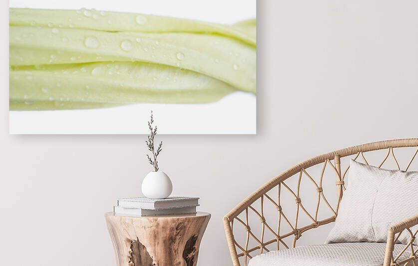 Soft Green Yellow Moonflower Bud Landscape 1 by Iris H Richardson