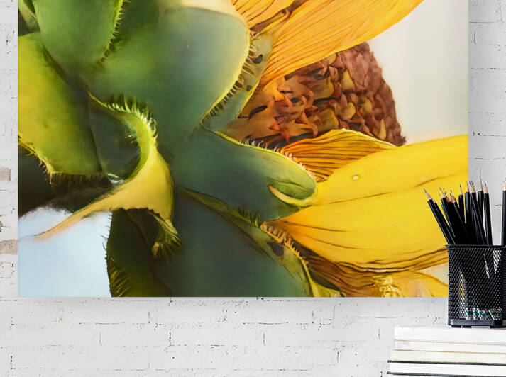 Sunflower Budding by Lisa Drew