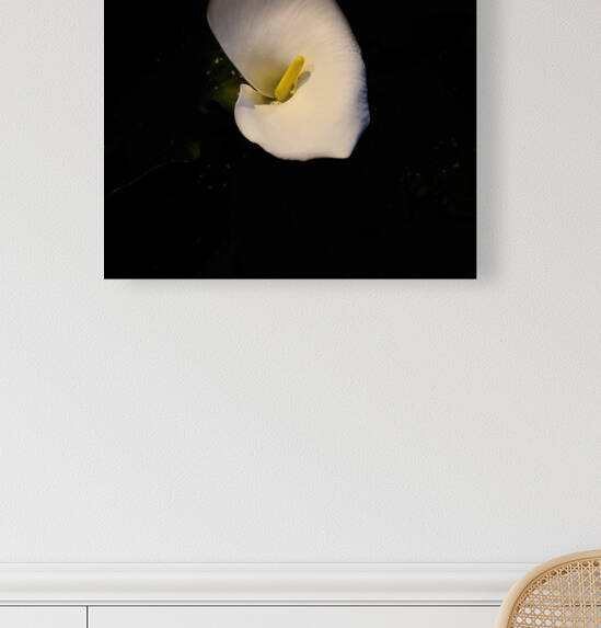 Blanche by Christina 