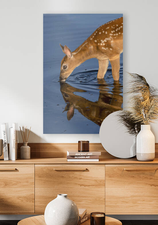 Soif by Sophie Thibault