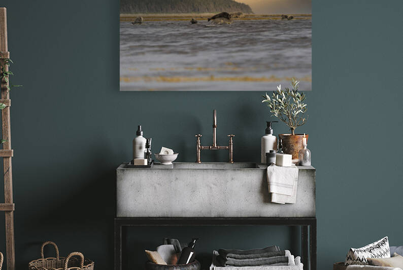 Phoques by Sophie Thibault