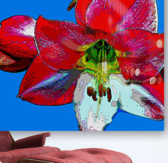 AMARYLLIS by LES MAYERS 