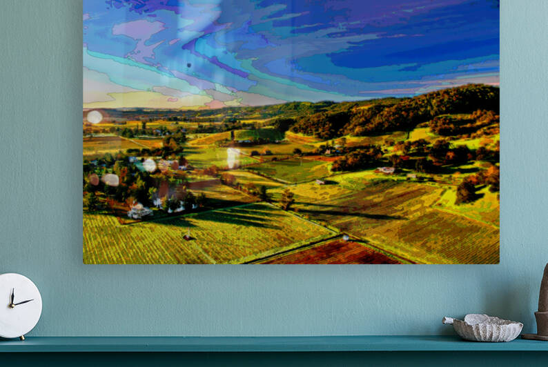  CALIFORNIA VINEYARDS 03 by LES MAYERS 