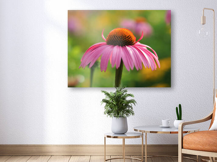 Little Devil by Suzanne Bonin