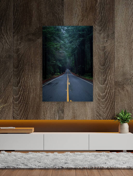 Avenue of the Giants by Noah Lang