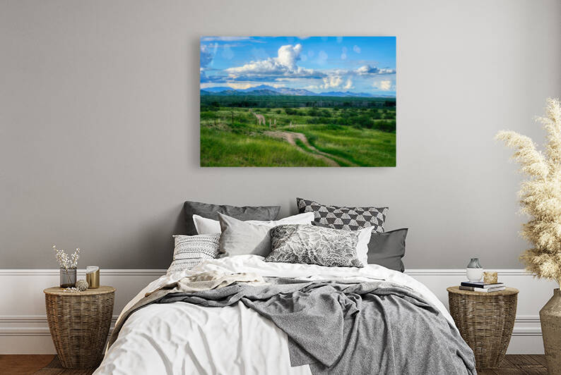 Las Cienegas Dirt Road by Eduardo Palazuelos