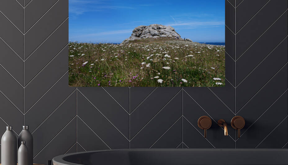 Rock and flowers  by Cedric Doz