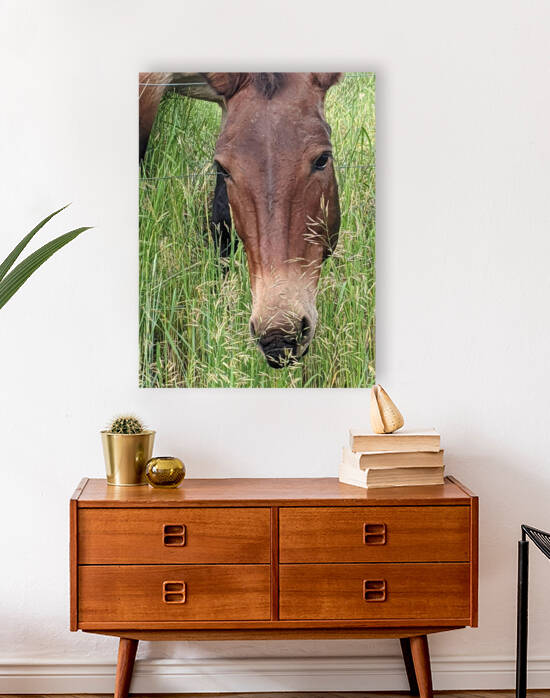 Bozeman Horse by AMJ