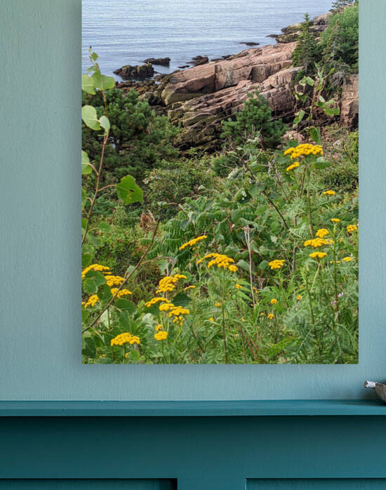 Acadia National Park by AMJ