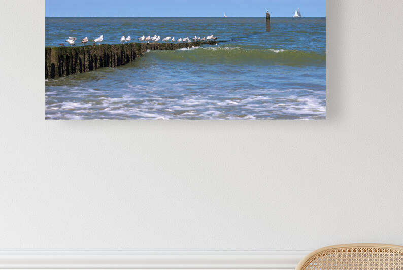 IMG 6715 by Sebastian Radu