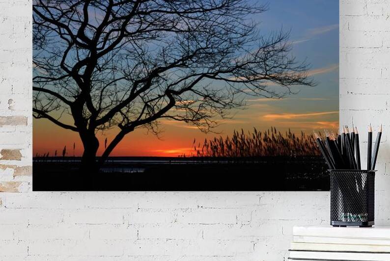 Sunset Tree in Ocean City by Bill Swartwout Photography