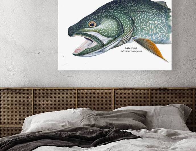 Siscowet Lake Trout Painting by Stephen Emms