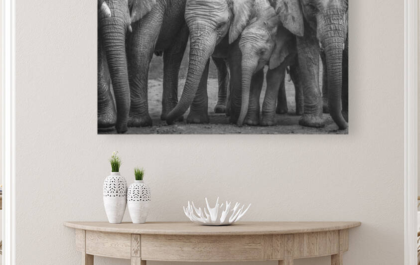 Elephants stand by me by Vanessa C Photo
