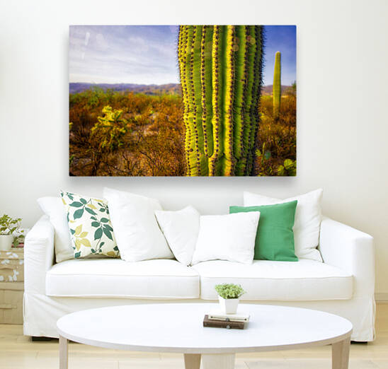 Hola my name is Saguaro by Eduardo Palazuelos
