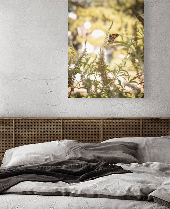 Floating on a Breeze by RawBeltPhotos