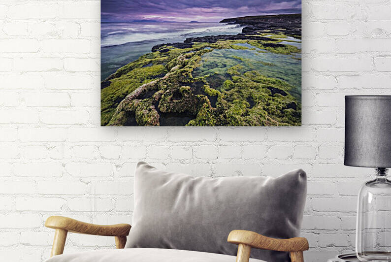 Medusa by Daniele Zedda