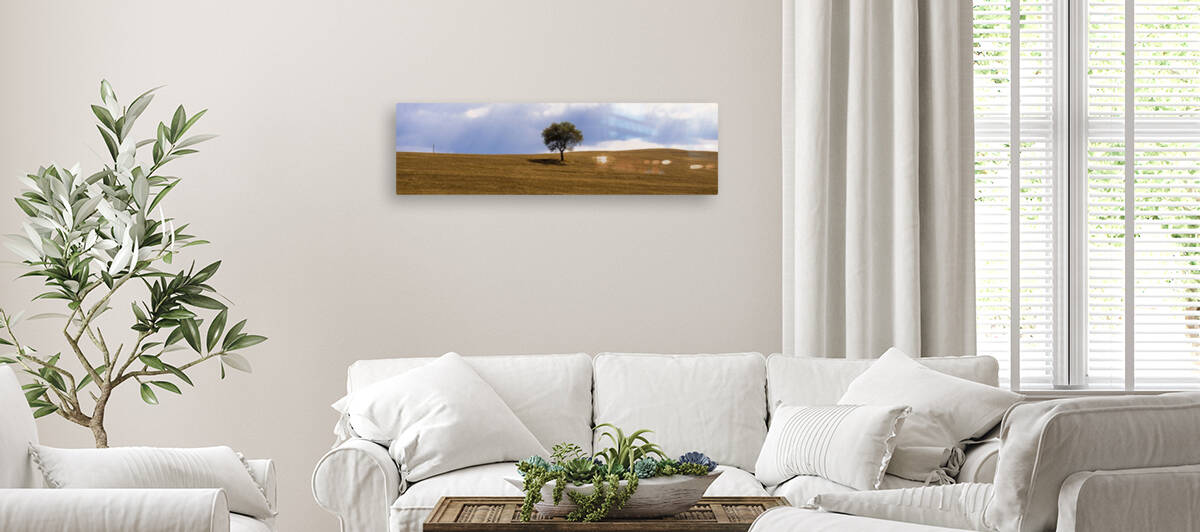 Tuscany Tree by Fabien Dormoy