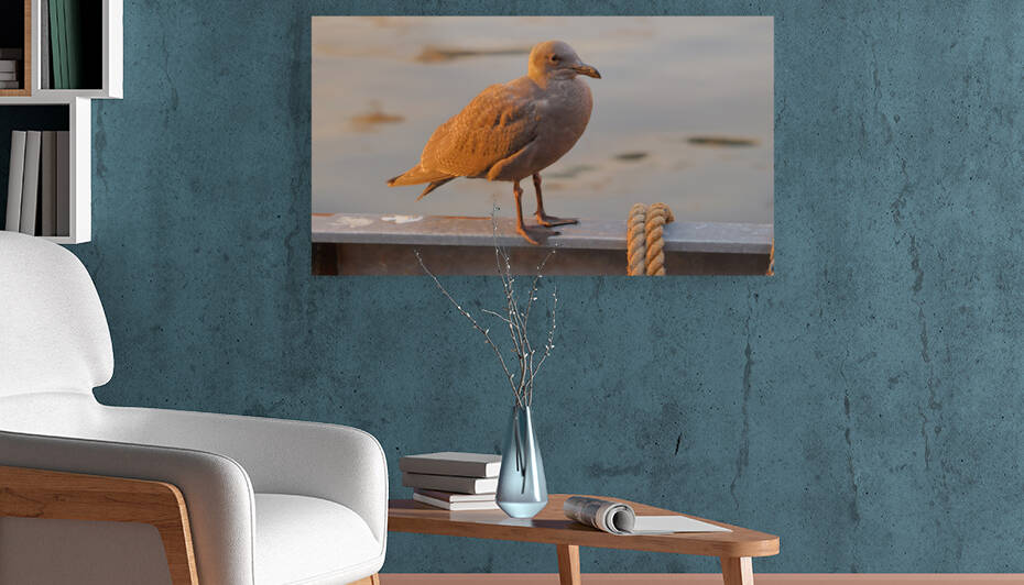 Sea Bird by Bill Neff