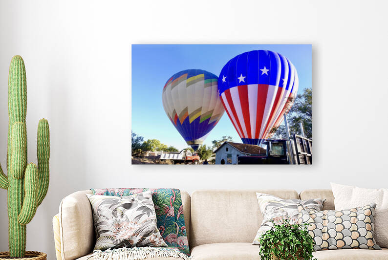 Twins - Balloon Festival - New Mexico 2017 by GAIA PHOTO CO