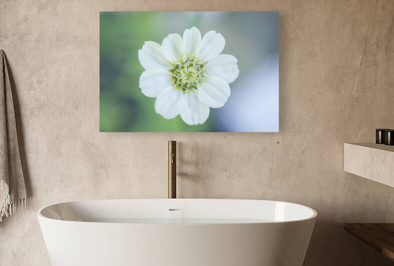 White Dalia Flower by Iris H Richardson