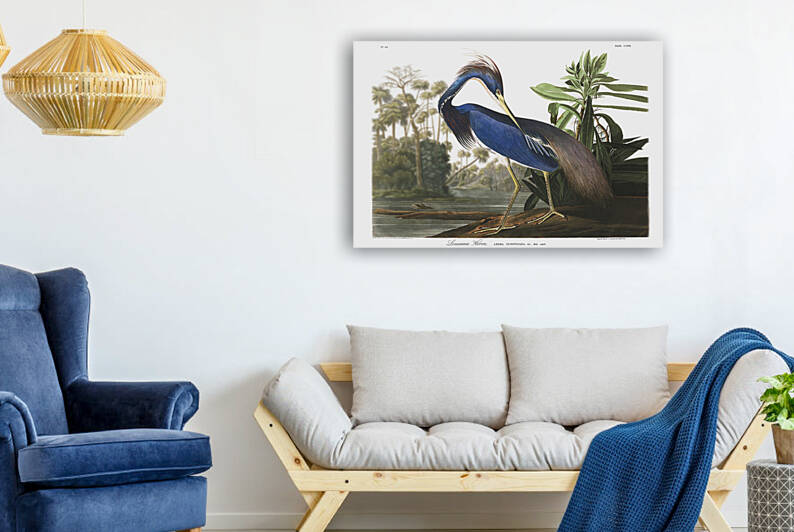 24x36 lou heron by Photo Artistry