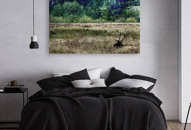 Elk by Barbara Linkevitch