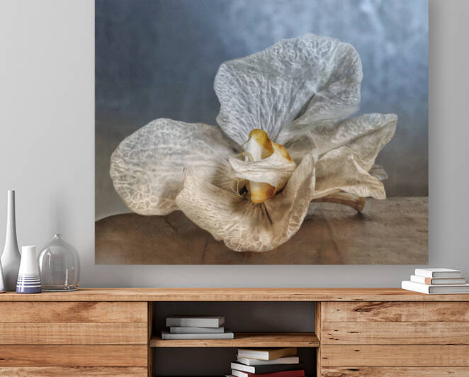 Dying Orchid by Barbara Linkevitch