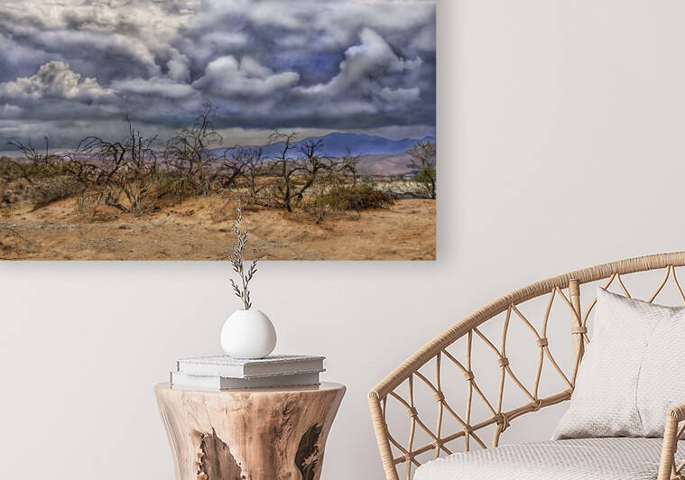 Mojave Storm by Barbara Linkevitch