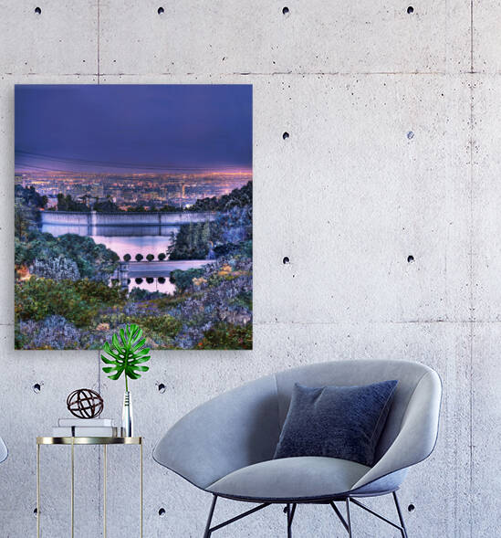 Hollywood Reservoir by Barbara Linkevitch