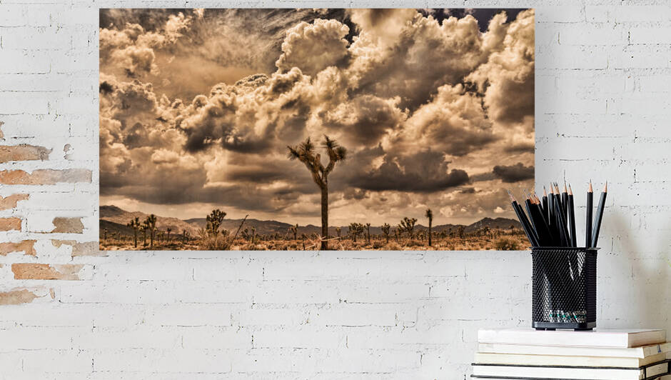 Joshua Storm by Barbara Linkevitch