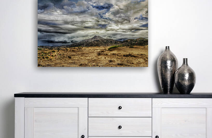 Mojave Storming by Barbara Linkevitch