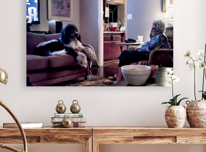 Super Bowl Sunday by Barbara Linkevitch