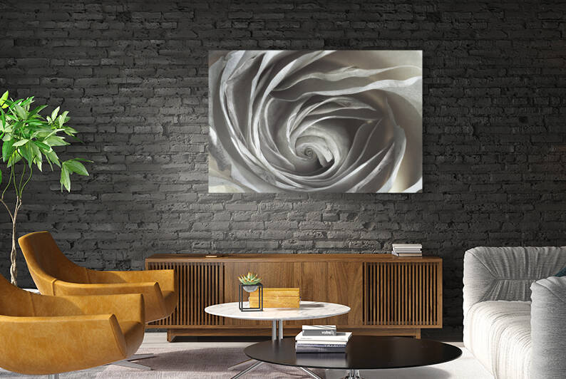 Damaged by Barbara Linkevitch