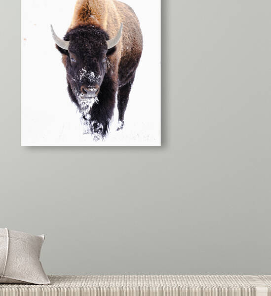 DSC04079 2 by jshansen