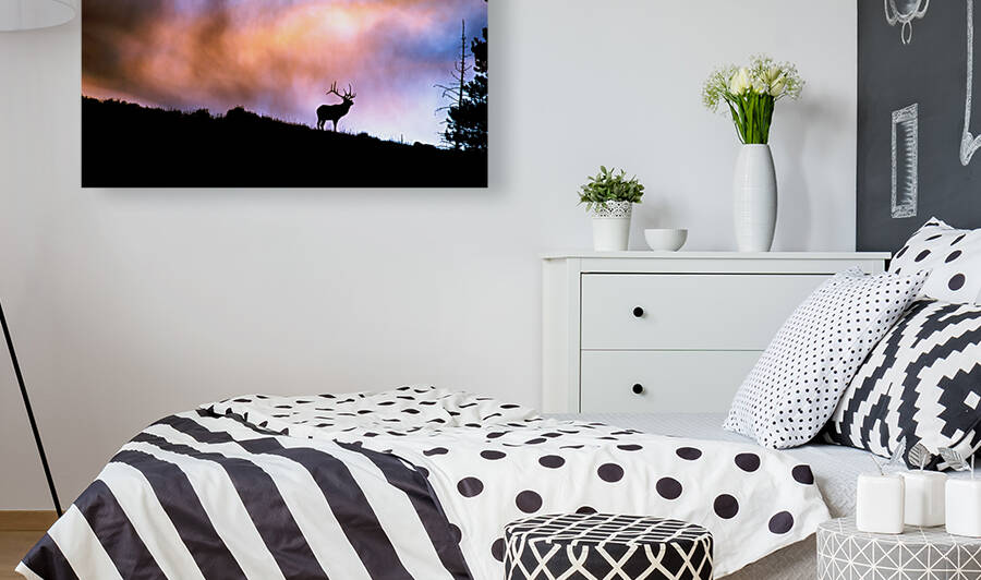 IMG 3303 by jshansen